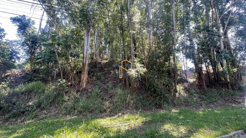 Terreno Tamboré 01 Barueri 