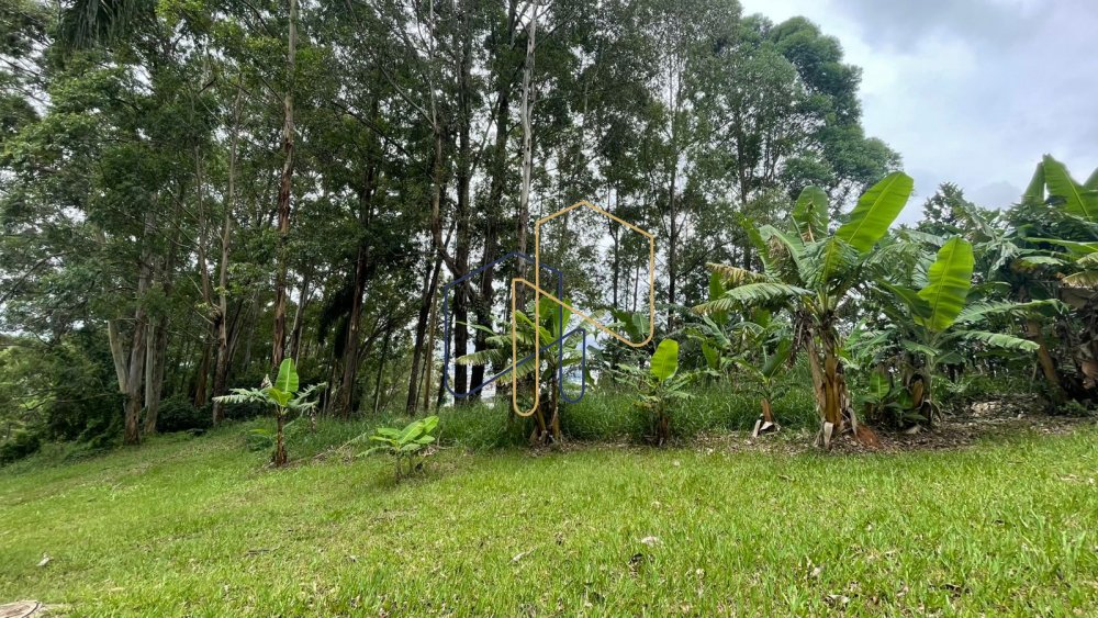 Terreno Tamboré 01 Barueri 