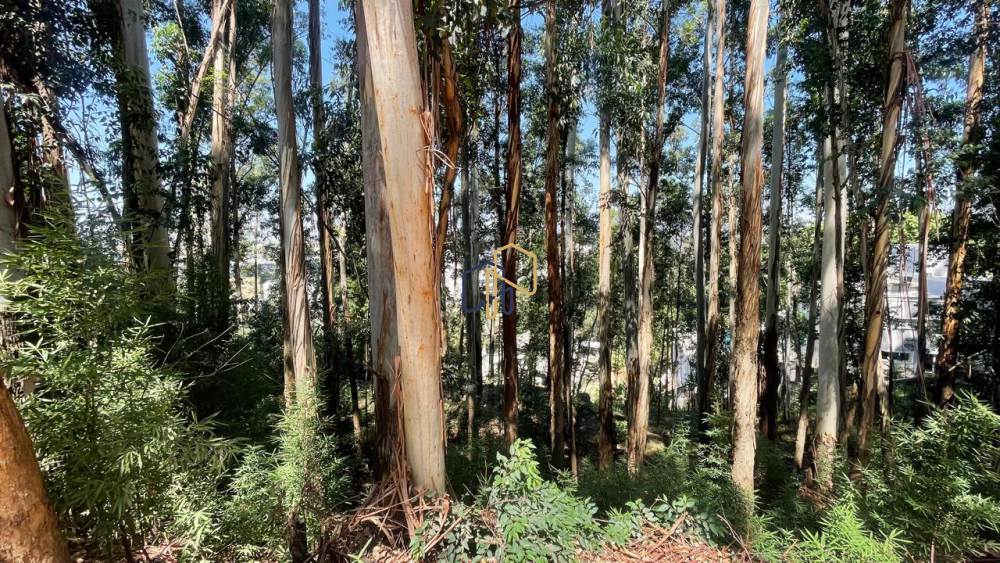 Terreno a Venda Tamboré